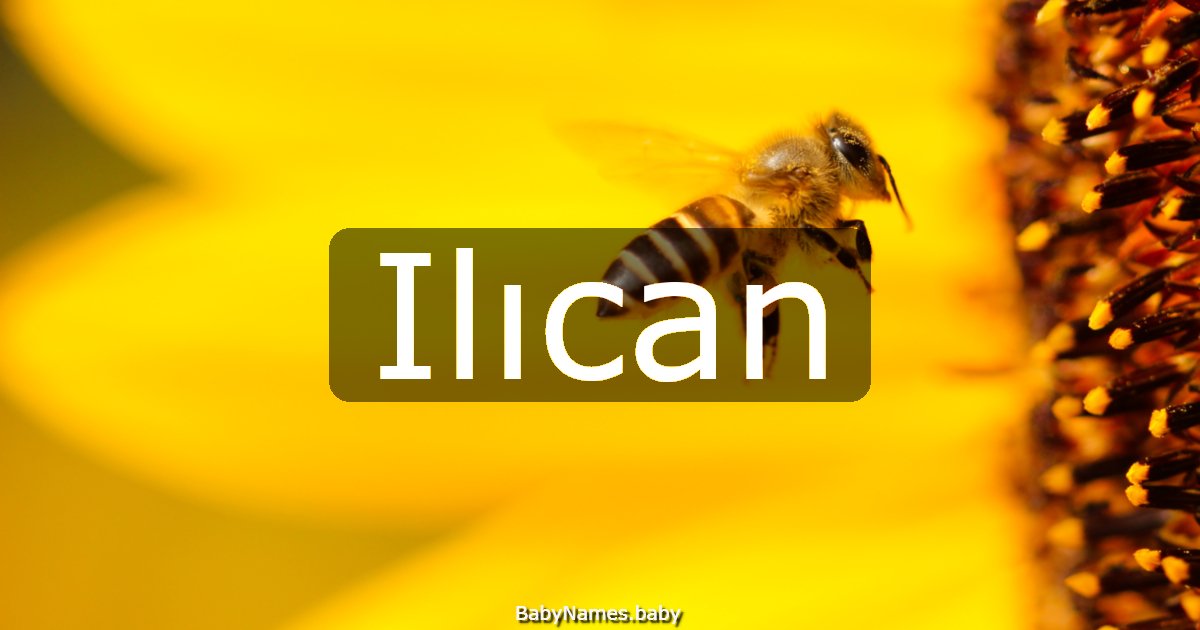 Ilıcan
