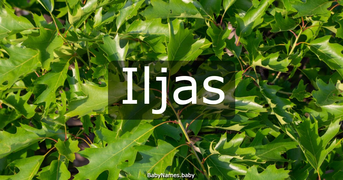 Iljas