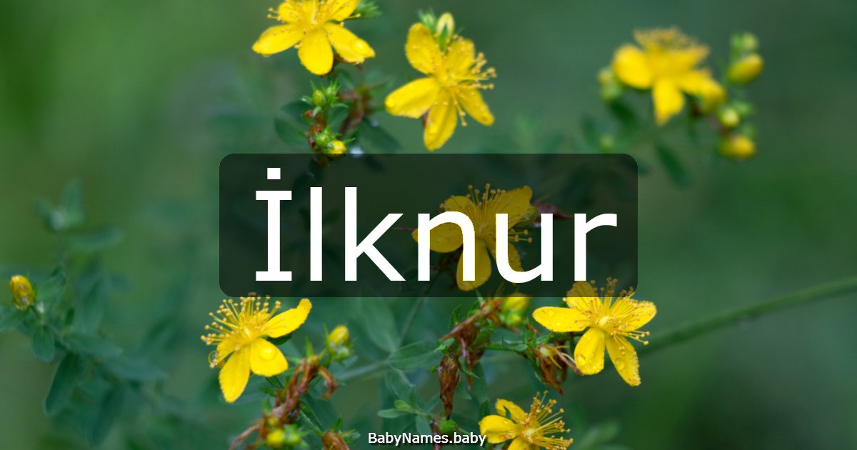 İlknur