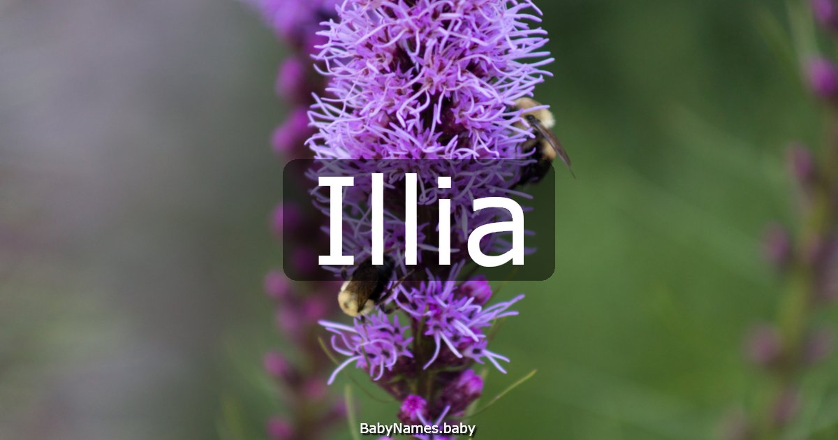 Illia