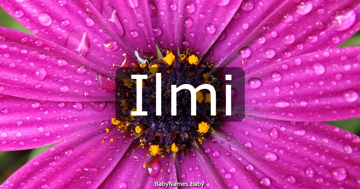 Ilmi