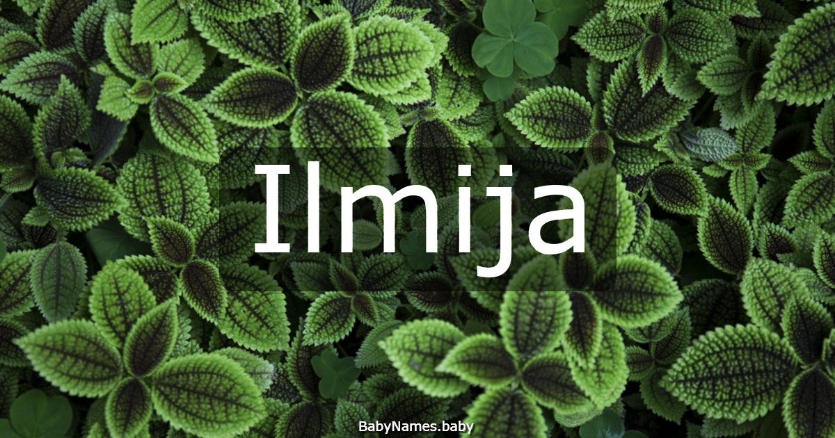 Ilmija