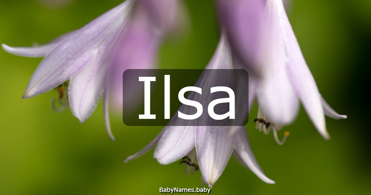Ilsa