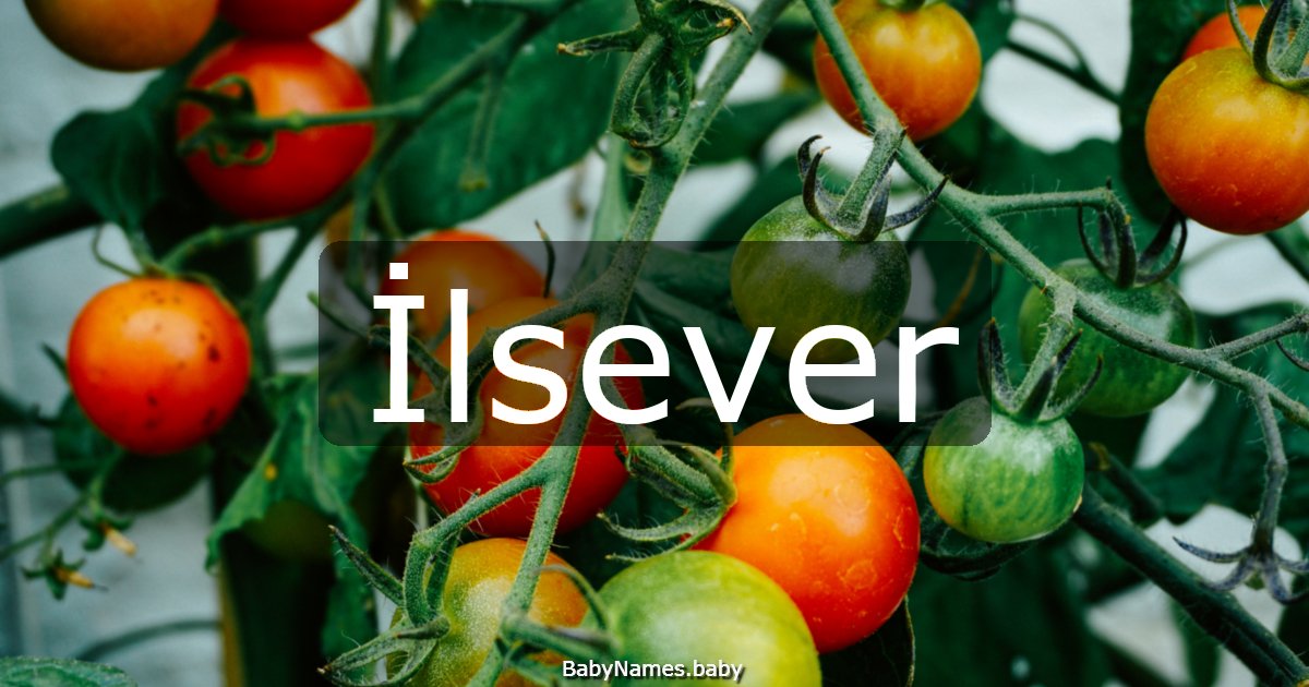 İlsever