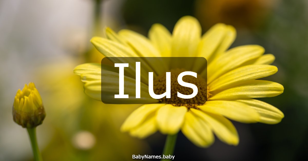 Ilus