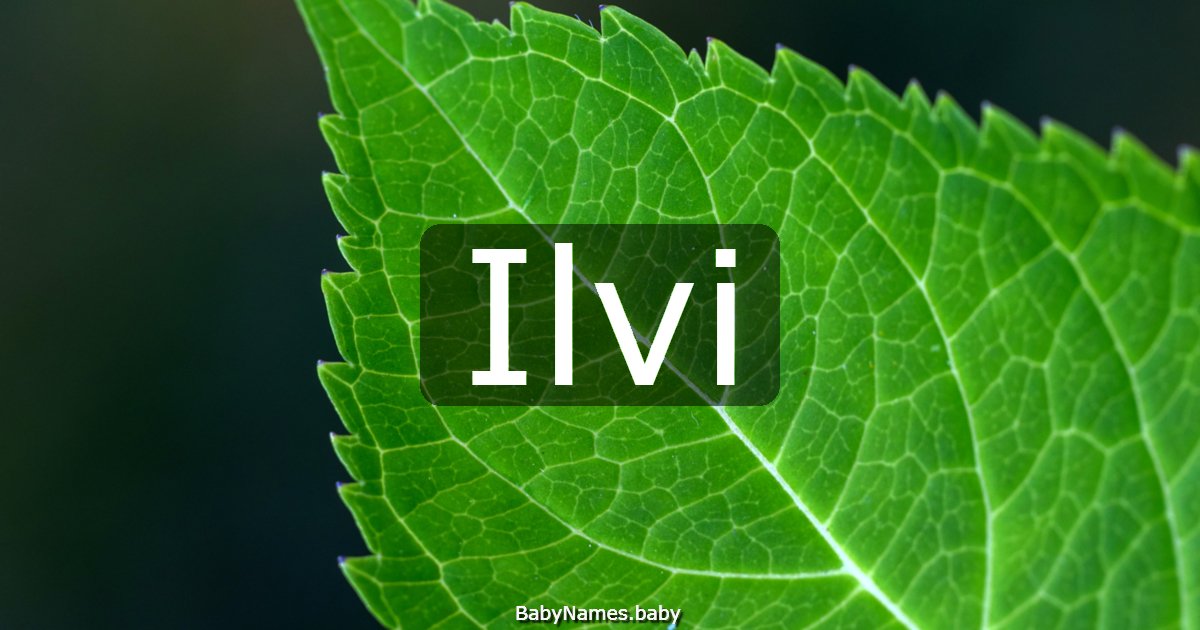 Ilvi