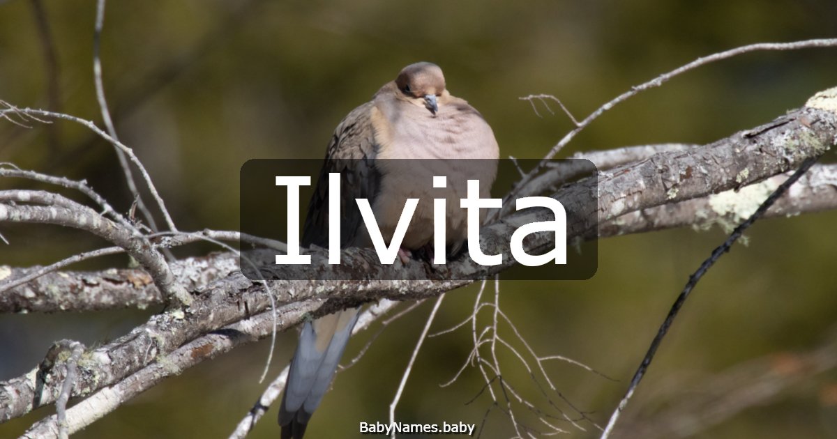 Ilvita