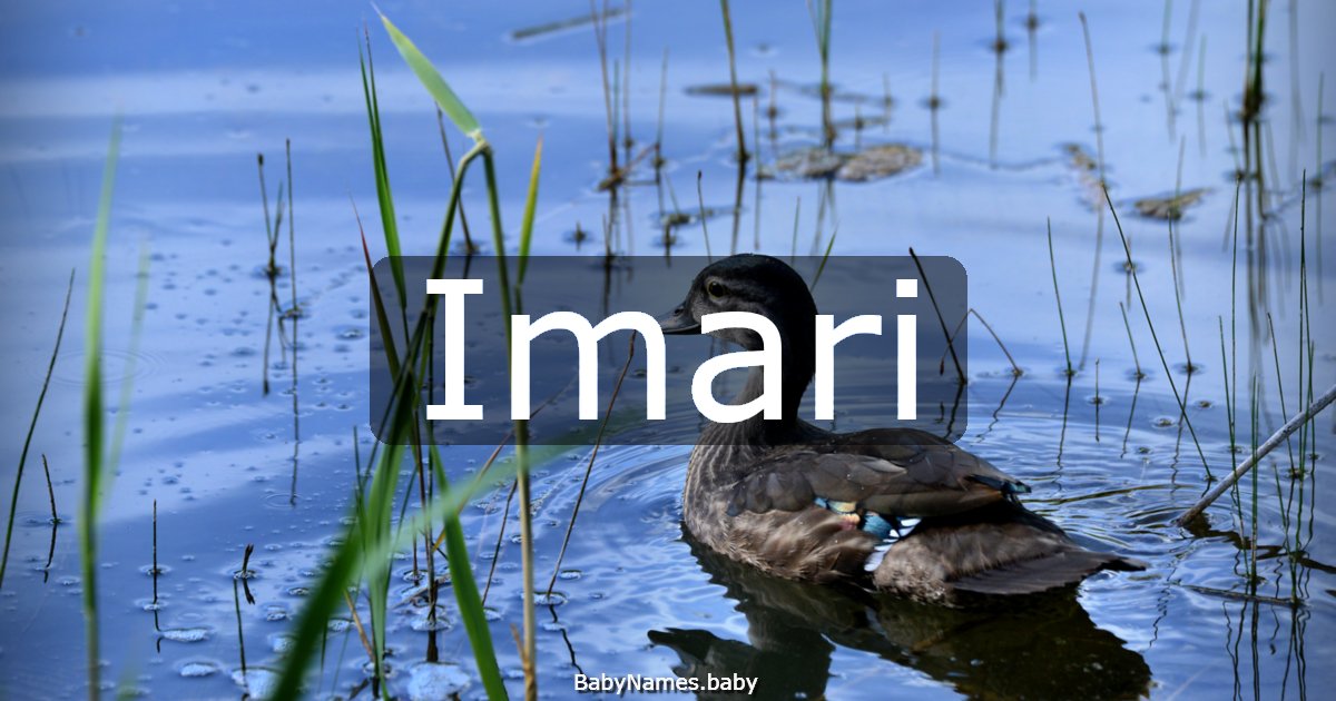 Imari