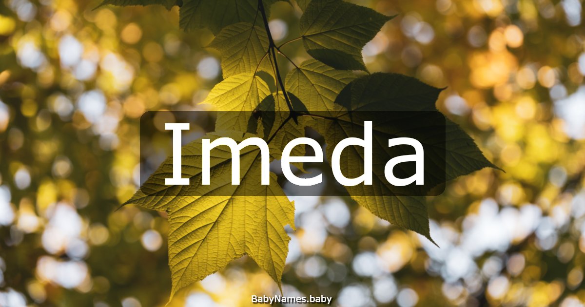 Imeda