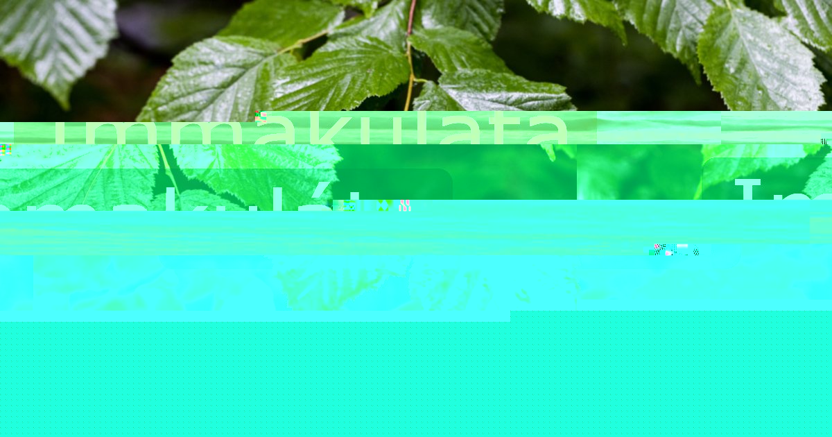 Immakuláta