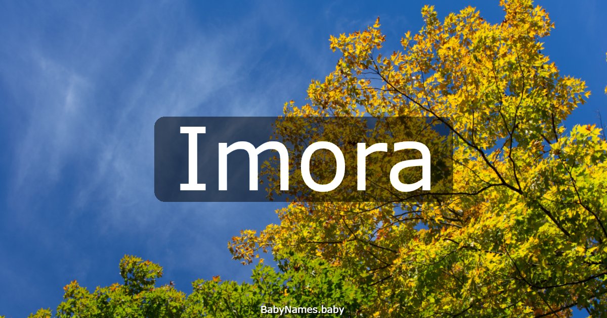 Imora