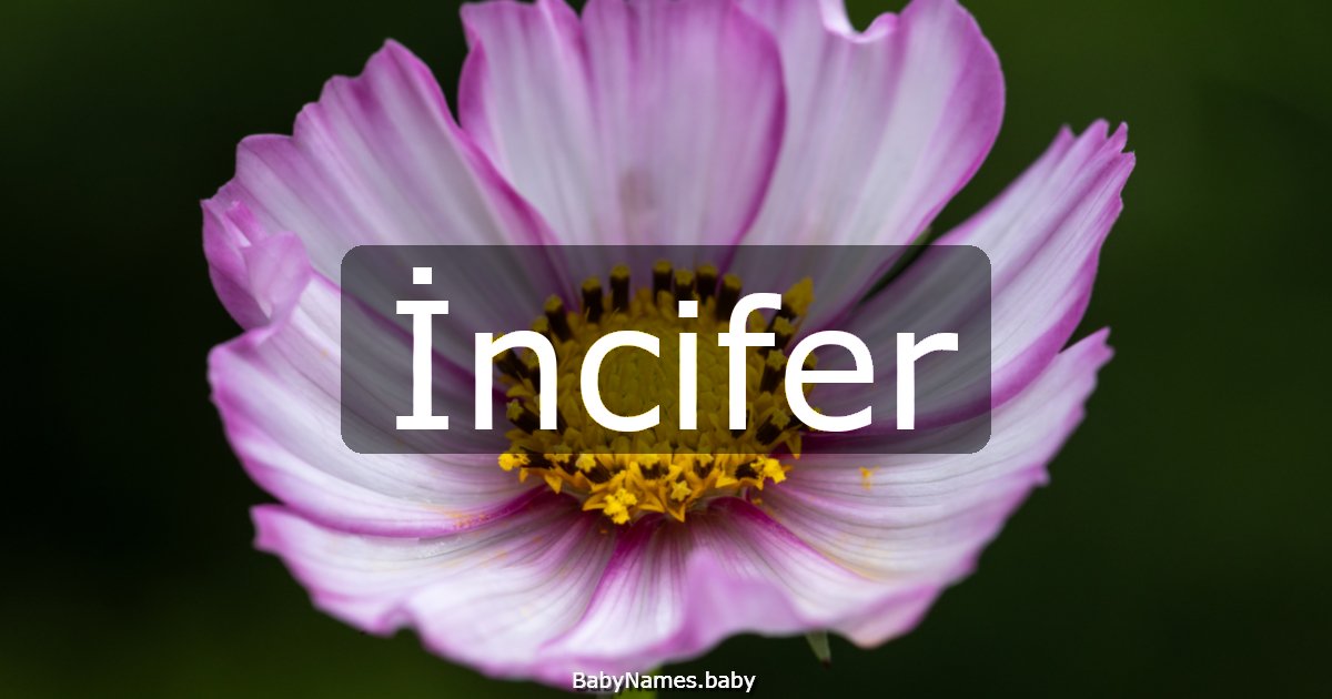 İncifer