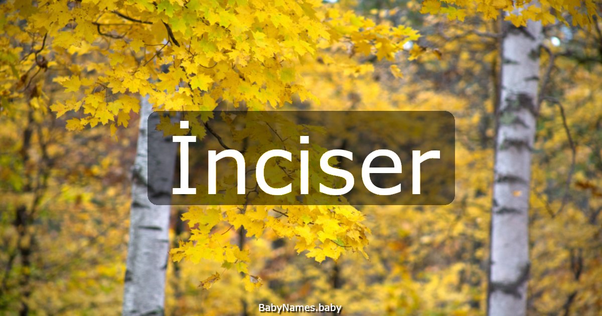 İnciser