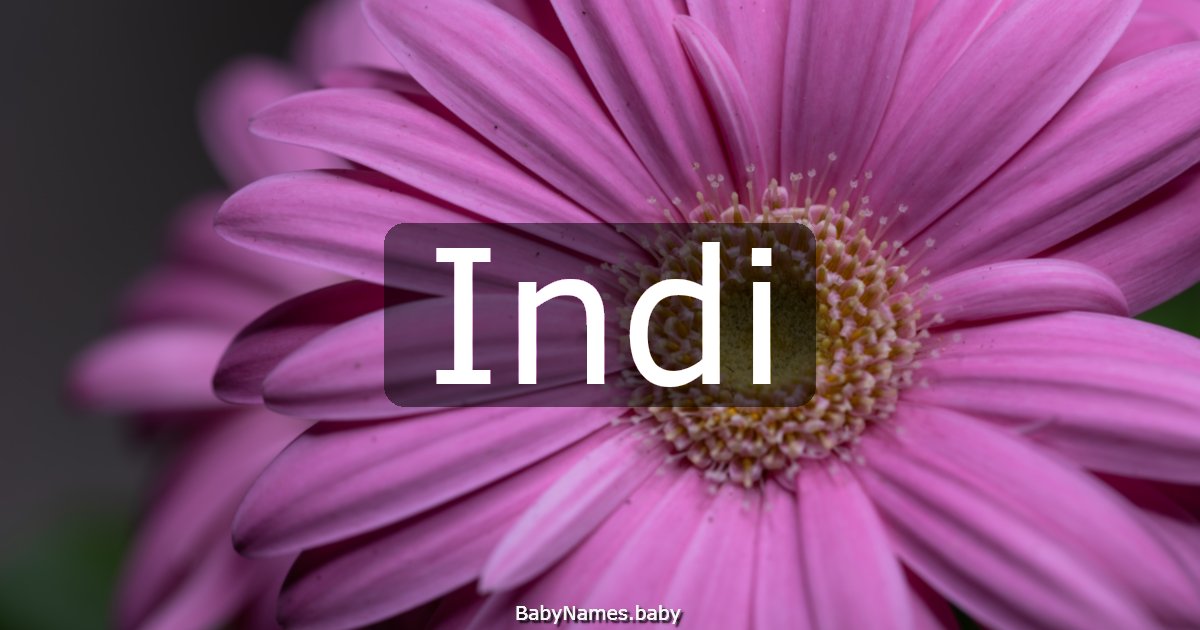 Indi