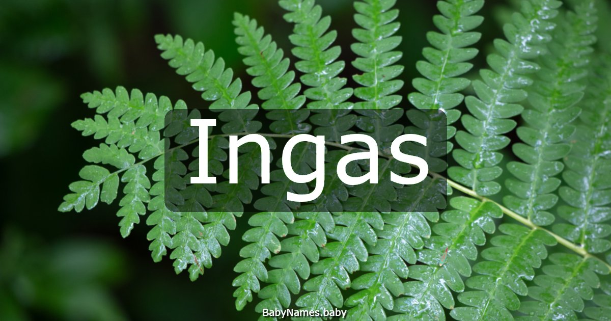 Ingas