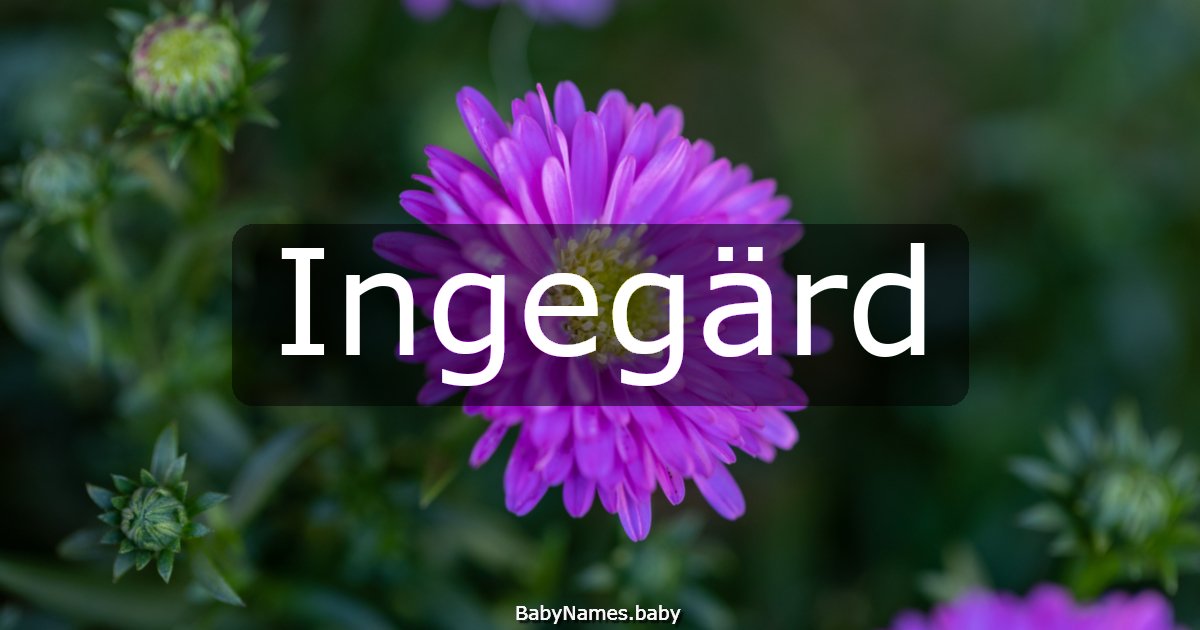 Ingegärd