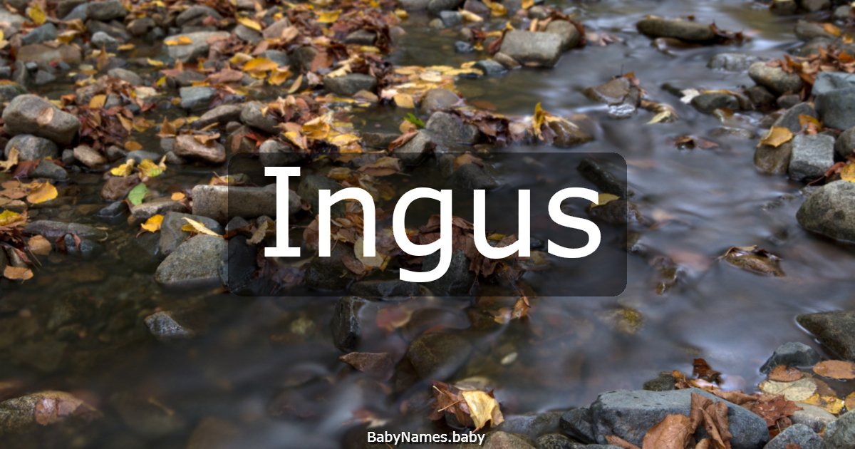 Ingus