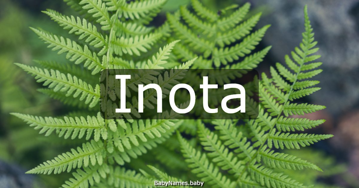 Inota