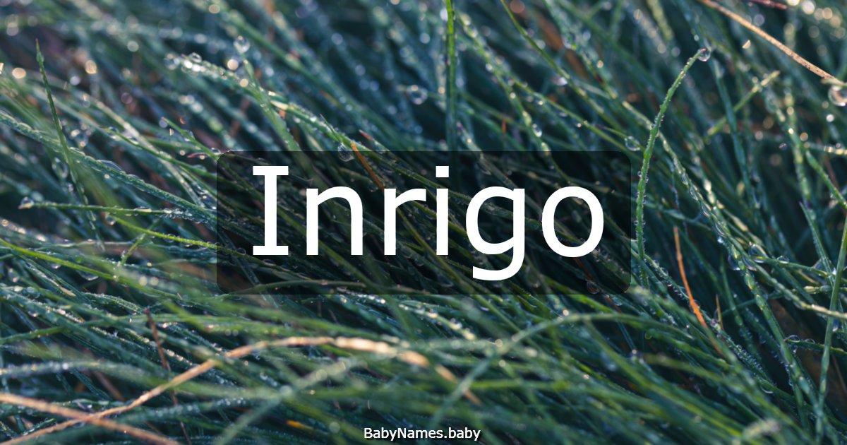 Inrigo