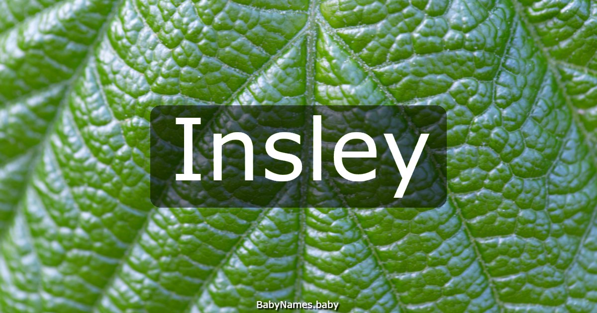 Insley