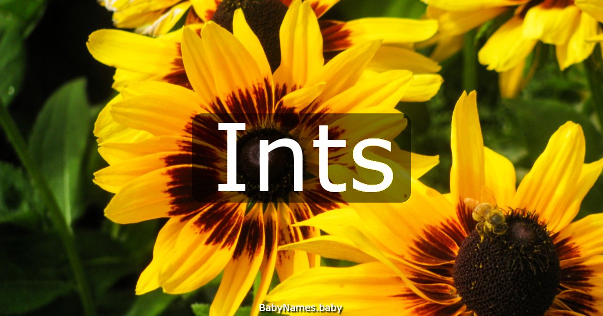 Ints