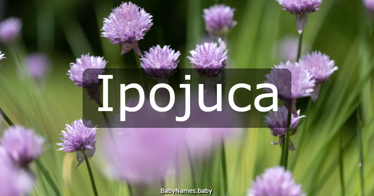 Ipojuca