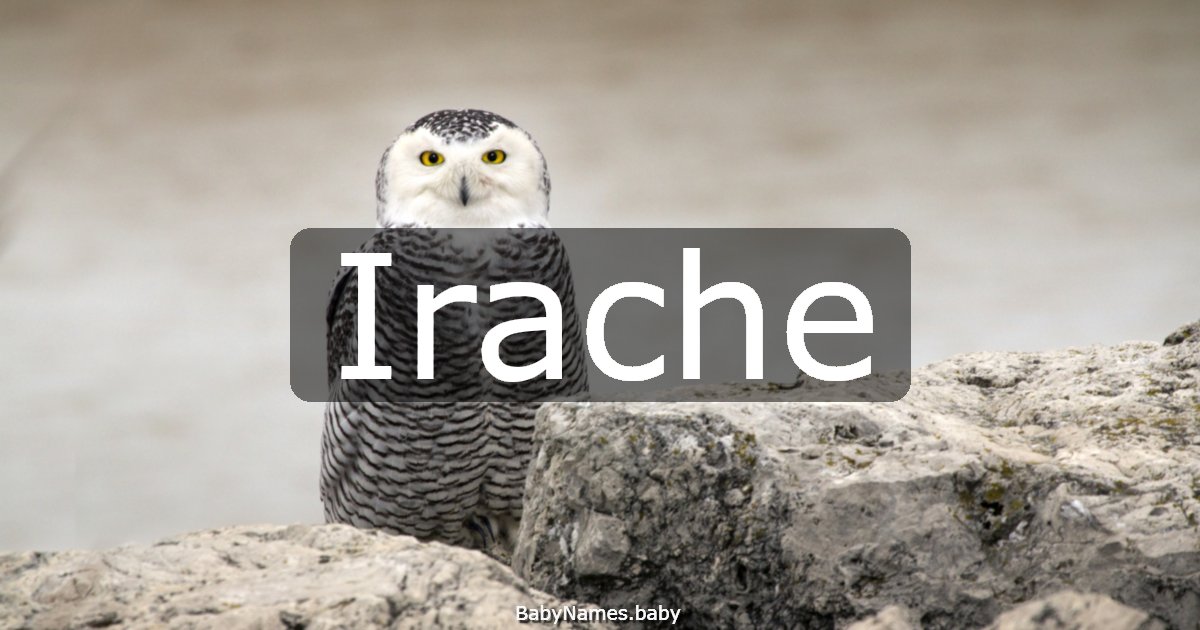 Irache