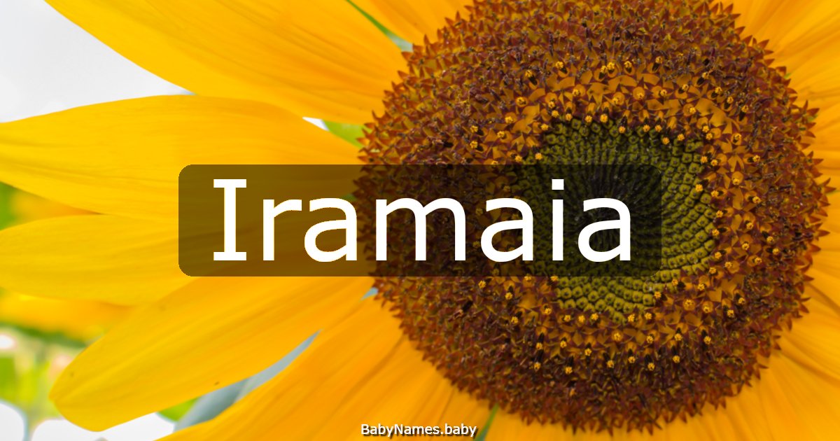 Iramaia