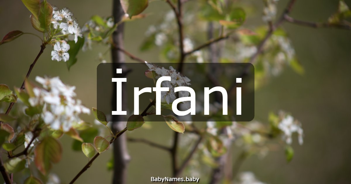 İrfani