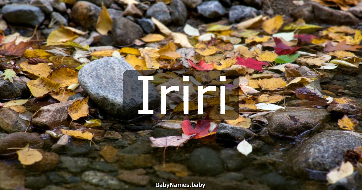 Iriri