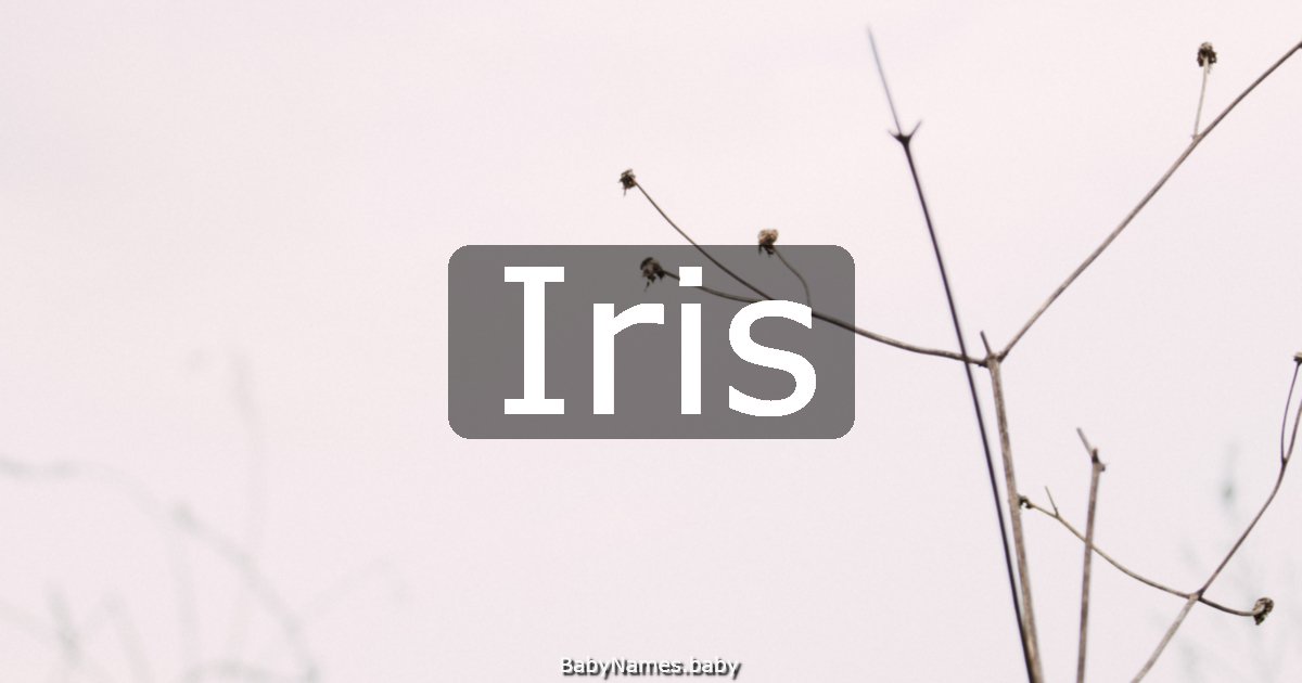 Iris