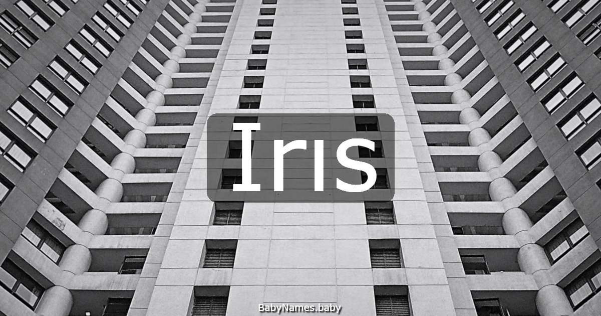 Irıs