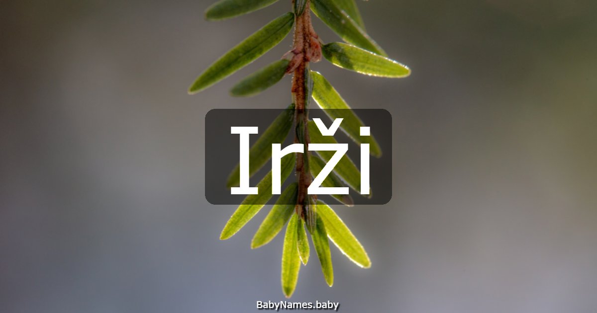 Irži