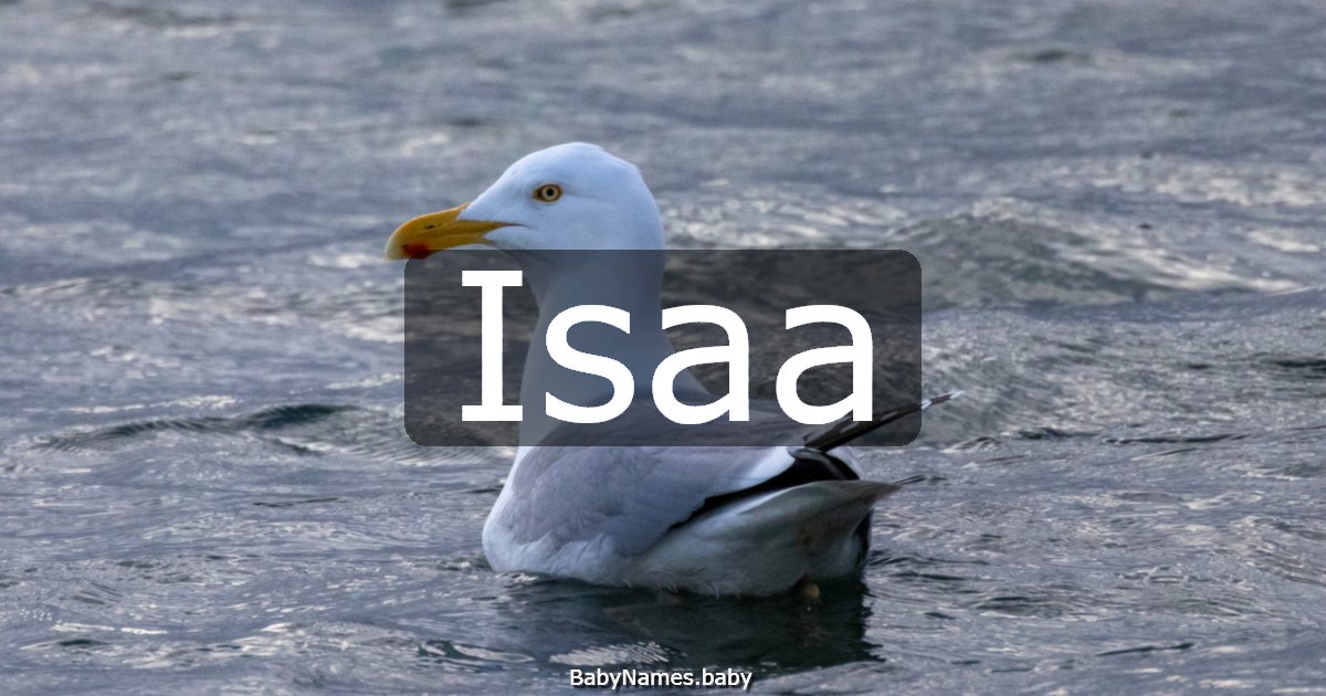 Isaa