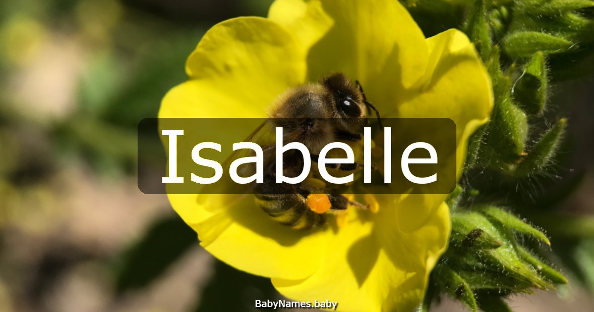 Isabelle