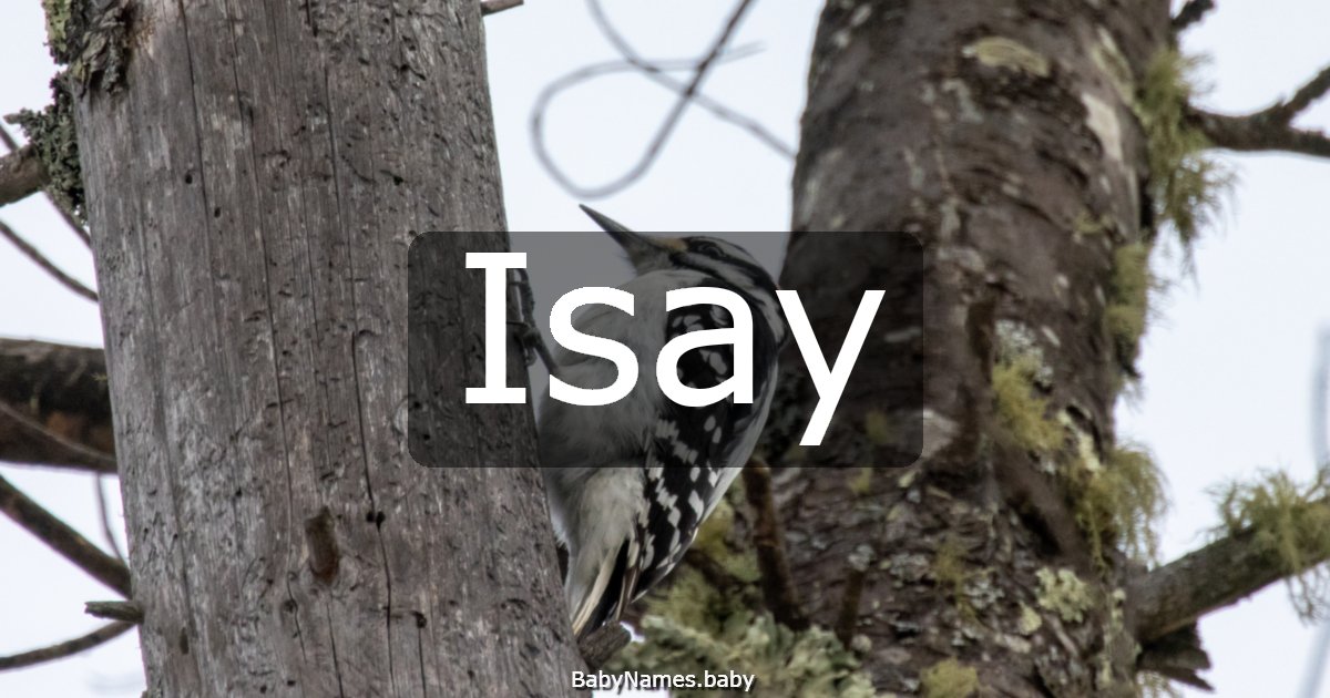Isay