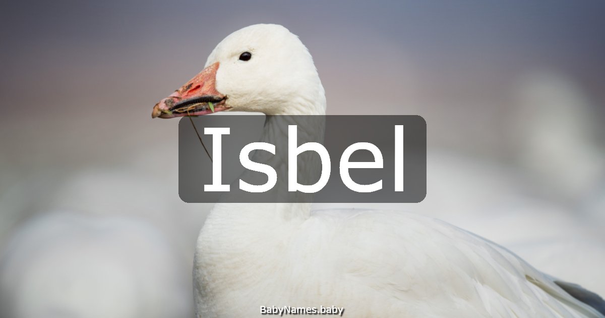 Isbel