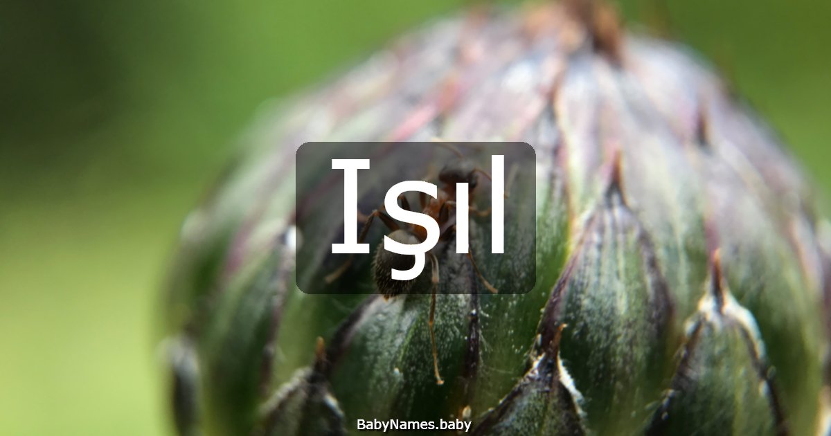 Işıl