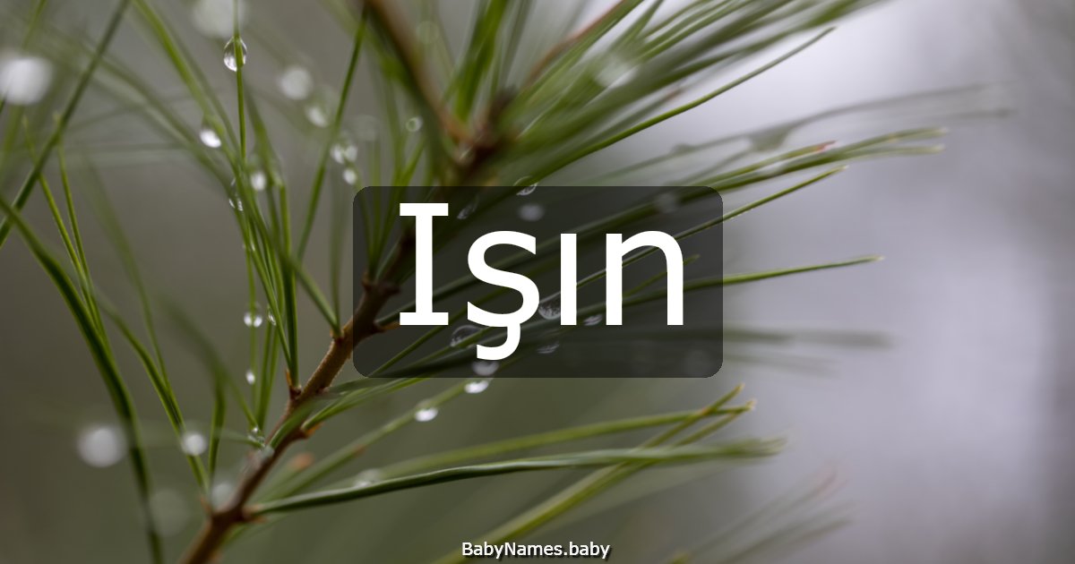 Işın