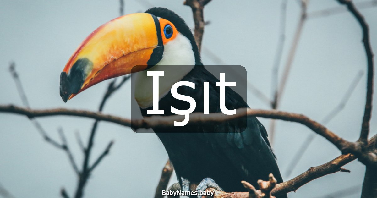 Işıt