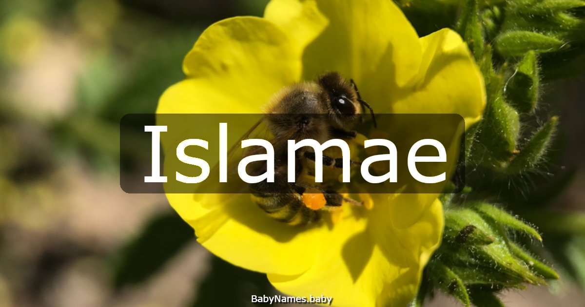 Islamae