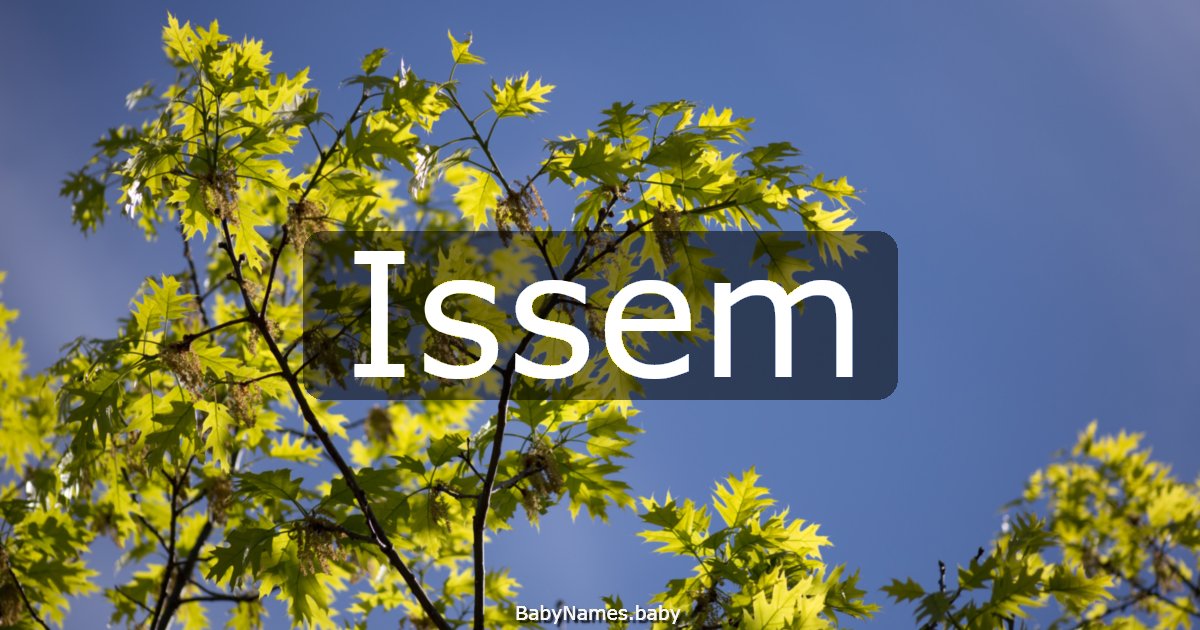 Issem