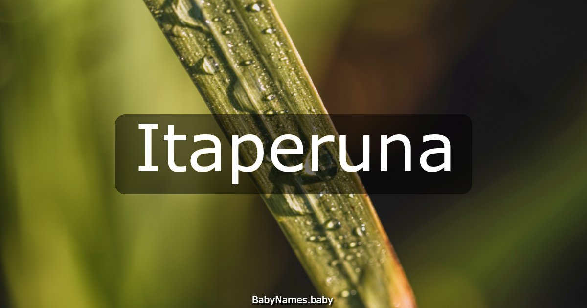 Itaperuna