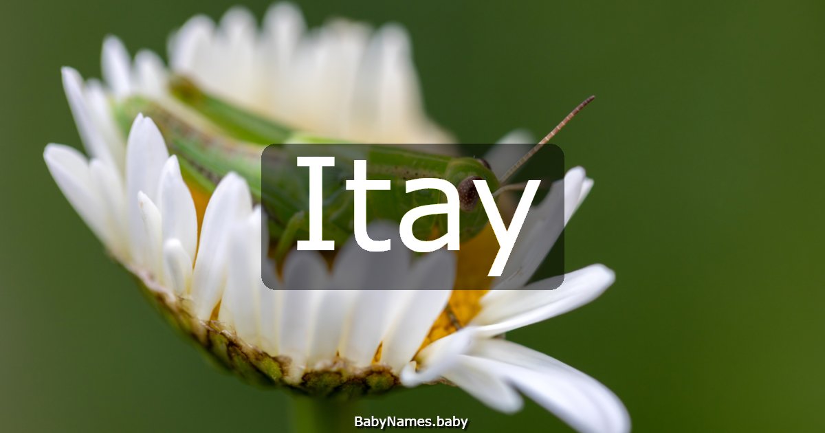 Itay