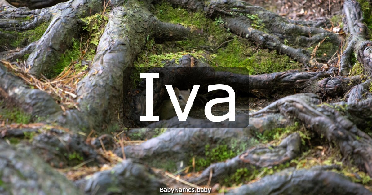 Iva