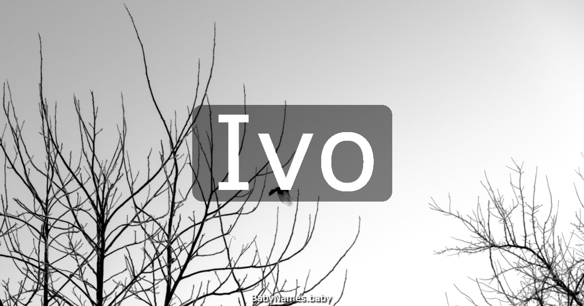 Ivo