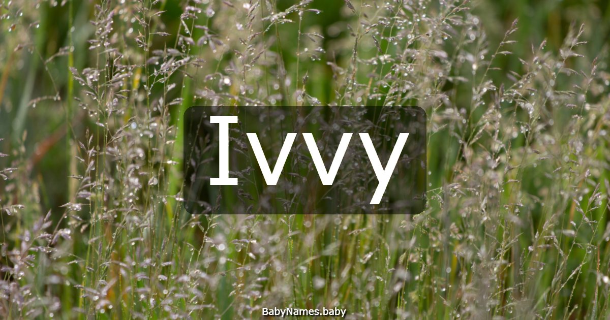 Ivvy