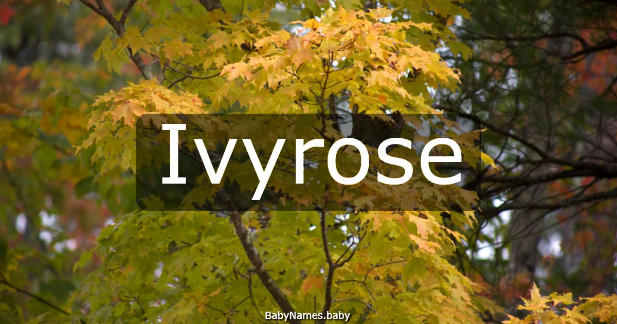 Ivyrose