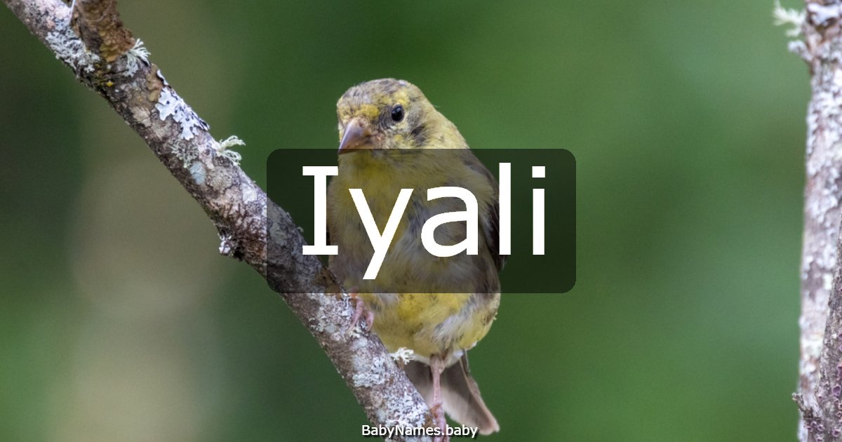 Iyali