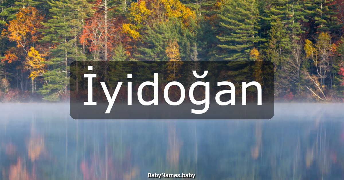İyidoğan